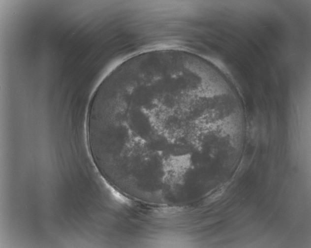 X0000060791294200511101408