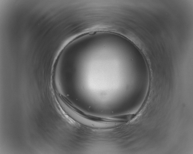 X0000060791296200511101408