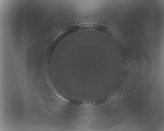 X0000060791297200511101407