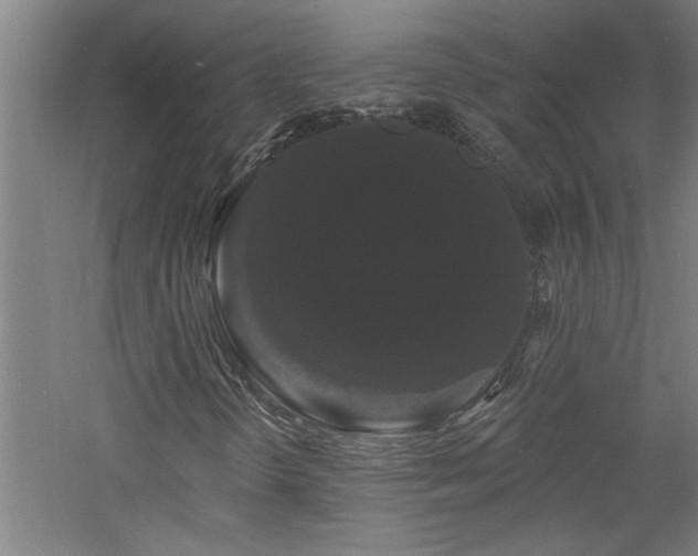 X0000060791298200511101407