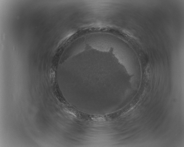 X0000060791302200511101407