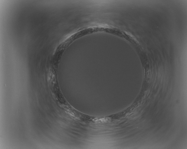 X0000060791303200511101407