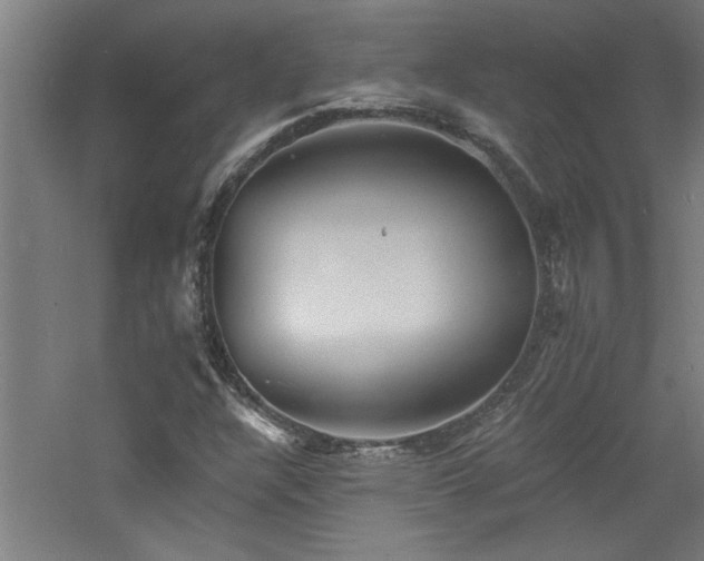 X0000060791304200511101407