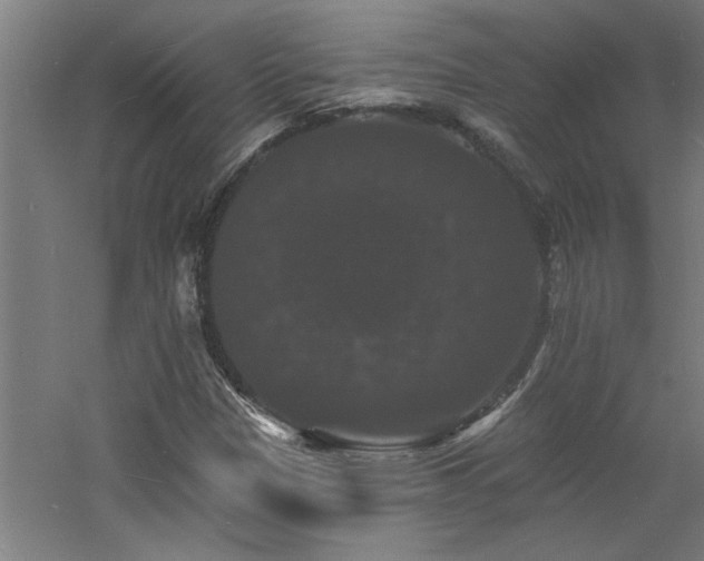 X0000060791305200511101407