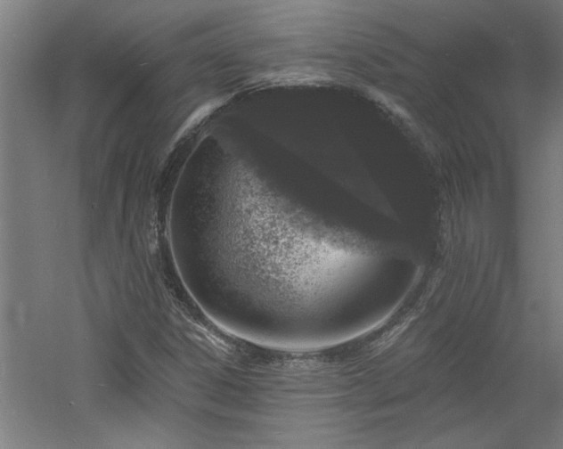 X0000060791306200511101407