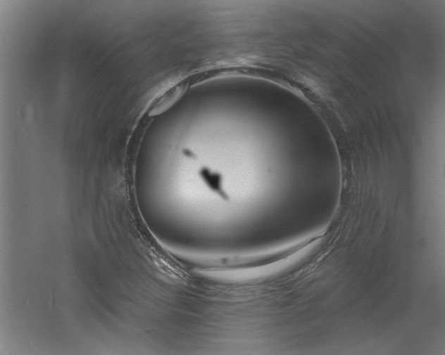 X0000060791308200511101407