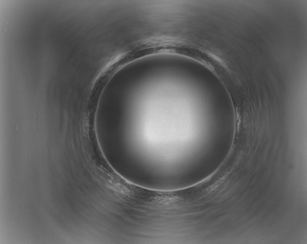 X0000060791309200511101408