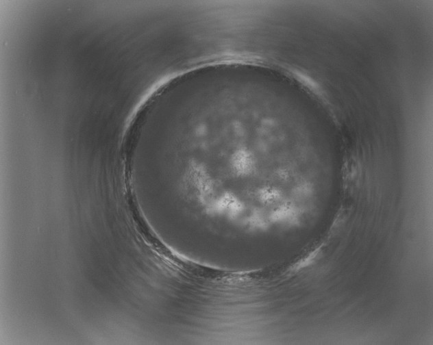 X0000060791310200511101408