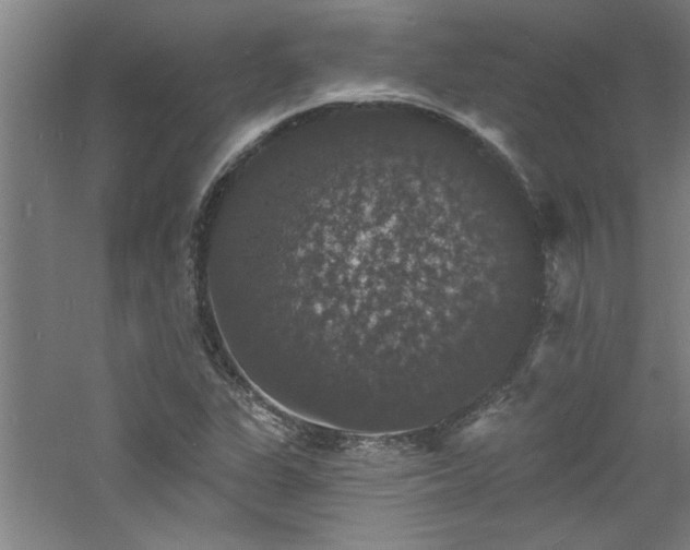 X0000060791311200511101408