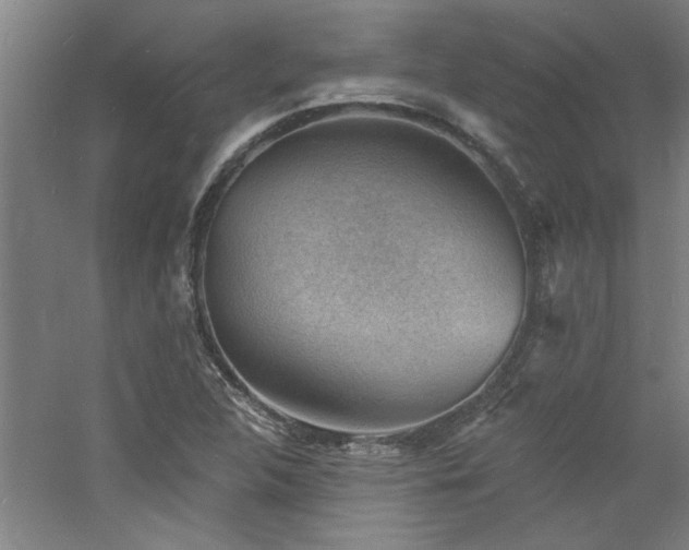 X0000060791312200511101408