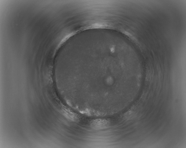 X0000060791314200511101408