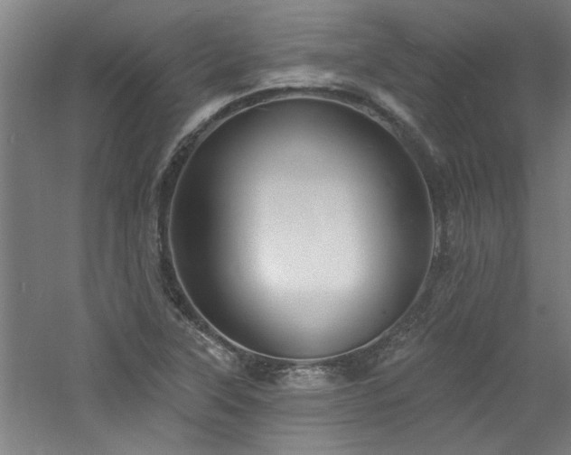 X0000060791315200511101408