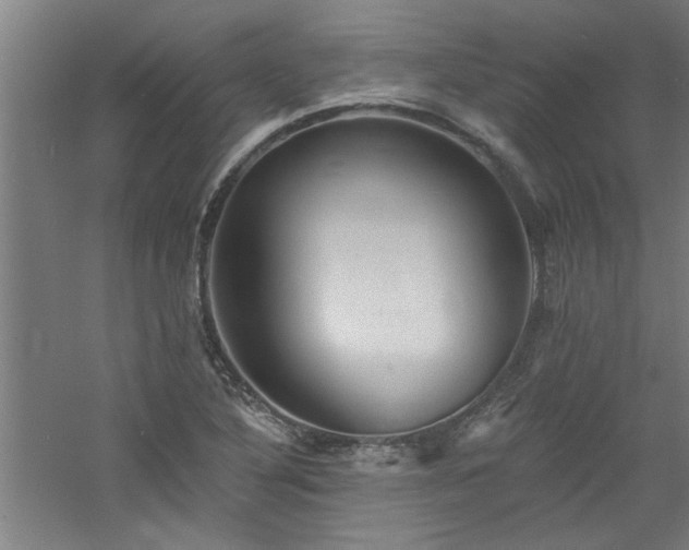 X0000060791316200511101408