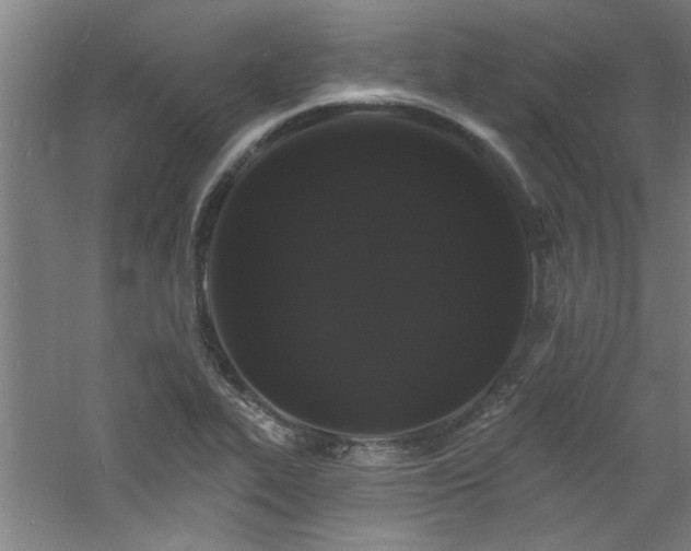 X0000060791319200511101408