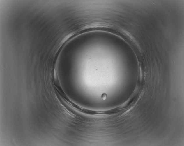 X0000060791321200511101408