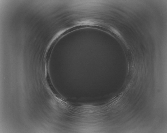 X0000060791323200511101408