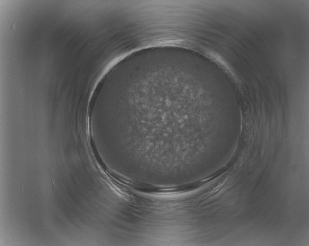 X0000060791324200511101408