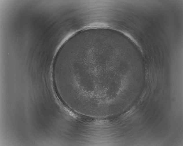 X0000060791325200511101408