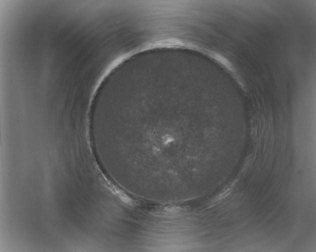 X0000060791326200511101408