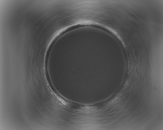 X0000060791327200511101408