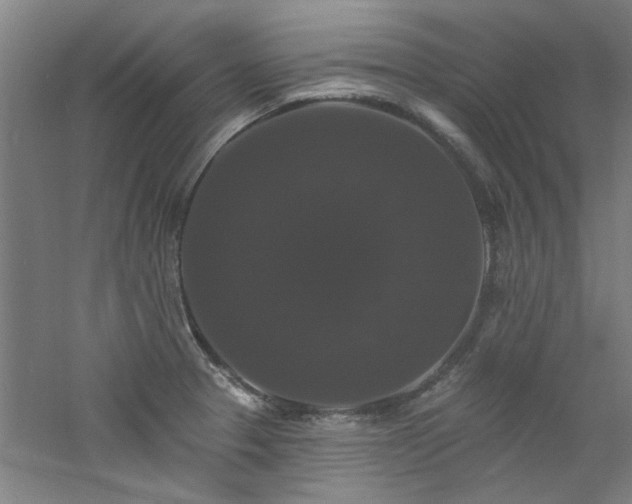 X0000060791329200511101408