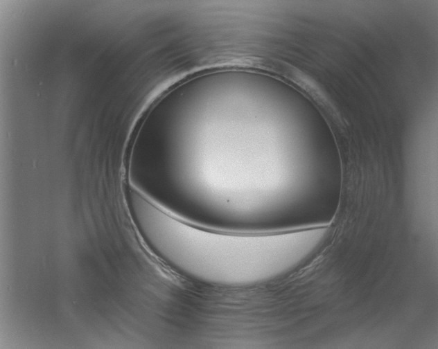 X0000060791332200511101408