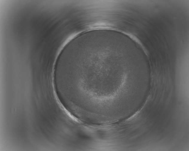 X0000060791333200511101408