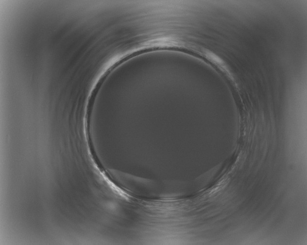 X0000060791334200511101408