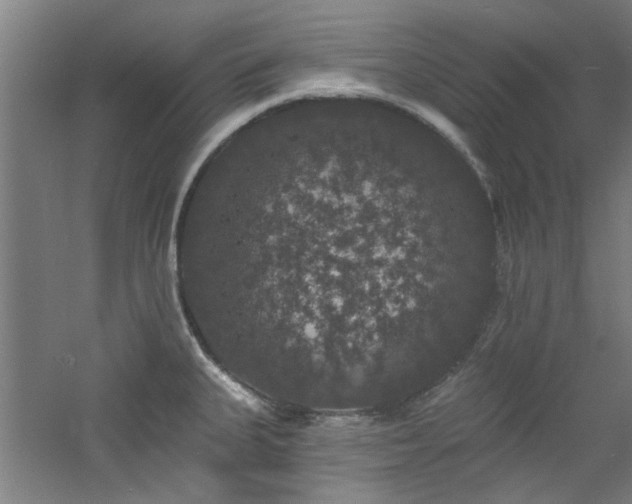 X0000060791335200511101408