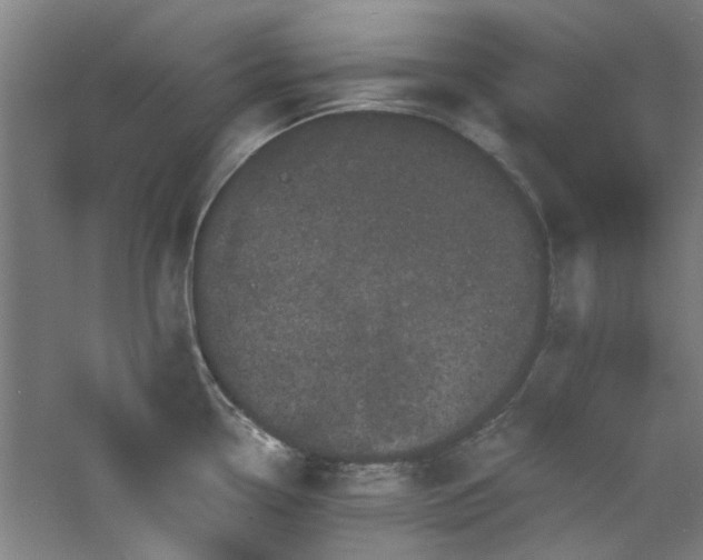 X0000060791338200511101408