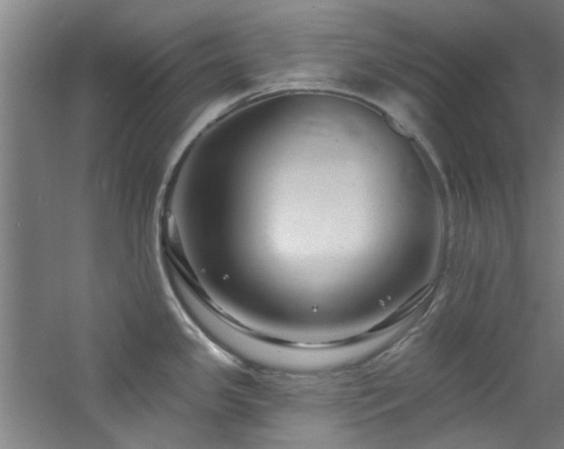 X0000060791341200511101408