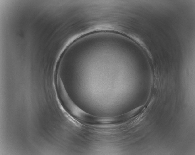 X0000060791342200511101408