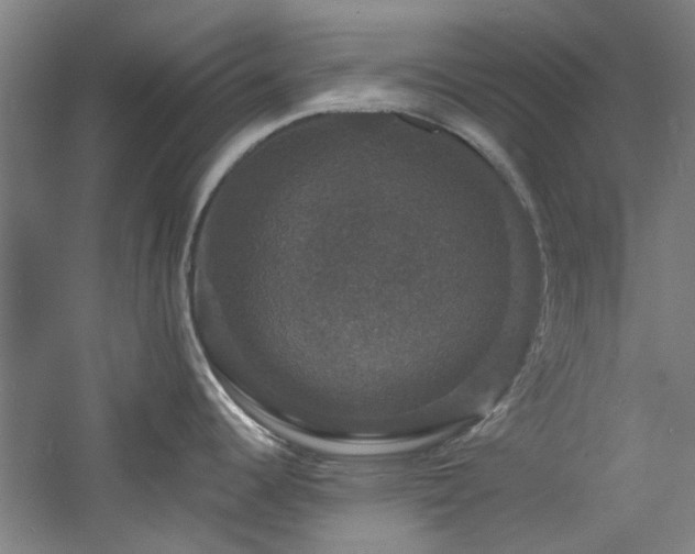 X0000060791344200511101408