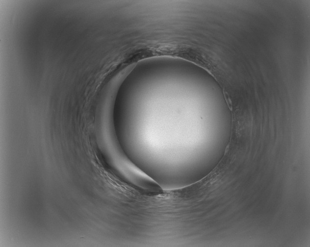 X0000060791345200511101407