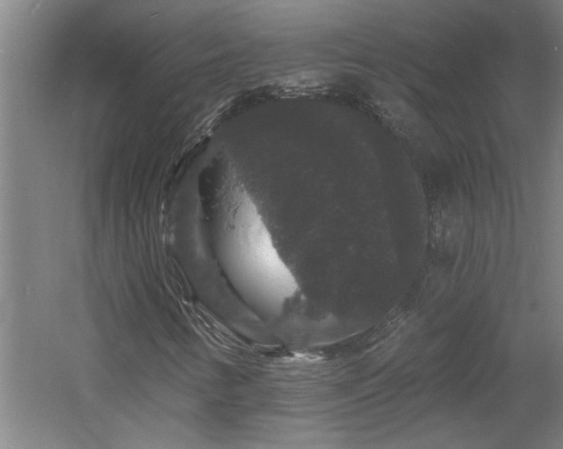 X0000060791346200511101407