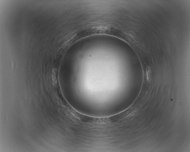 X0000060791347200511101407