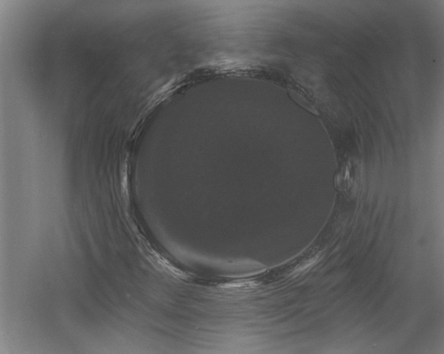 X0000060791348200511101407