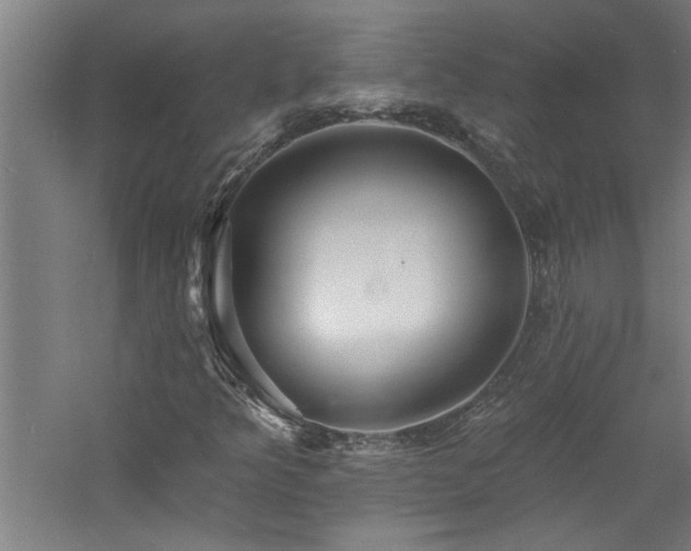 X0000060791349200511101407