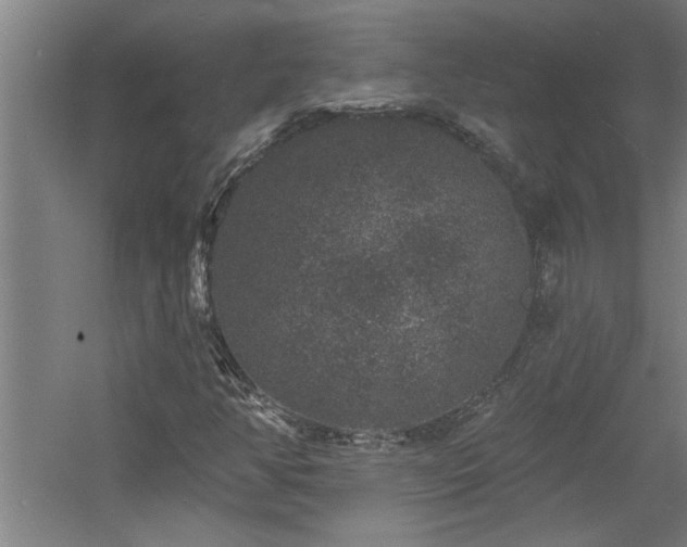 X0000060791350200511101407