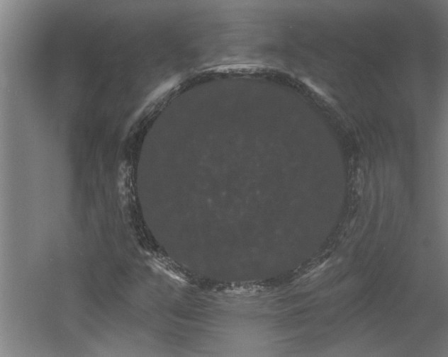 X0000060791351200511101407