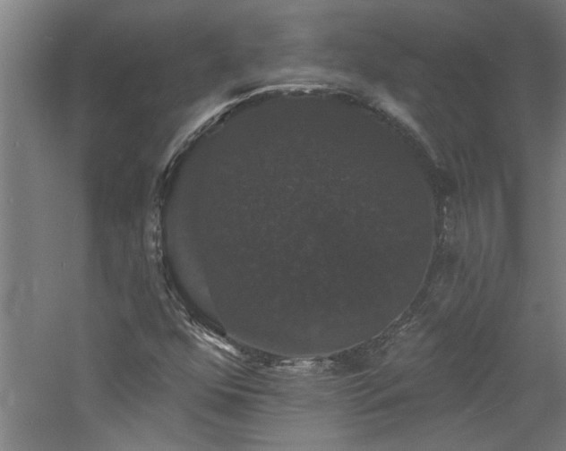 X0000060791352200511101407