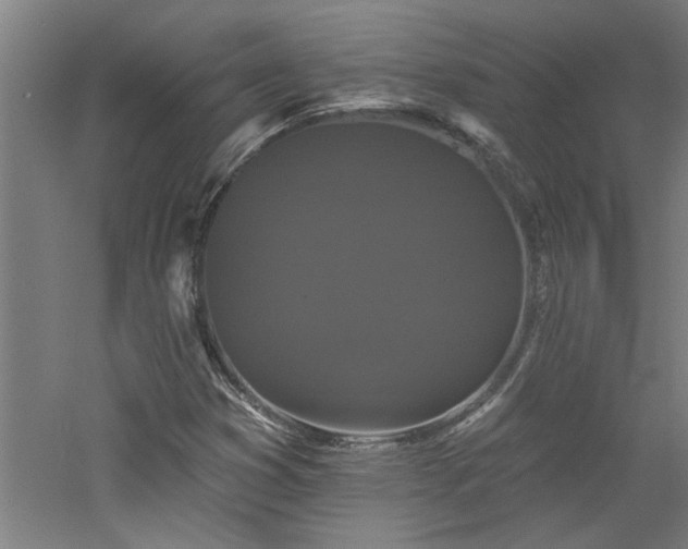 X0000060791353200511101407