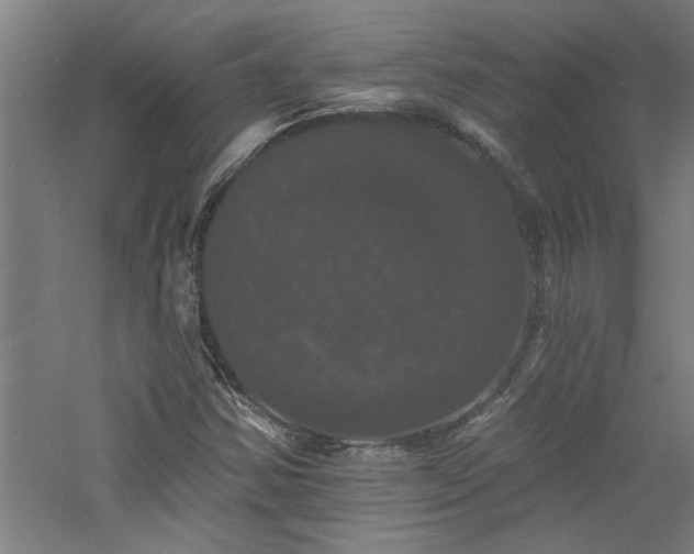 X0000060791354200511101407