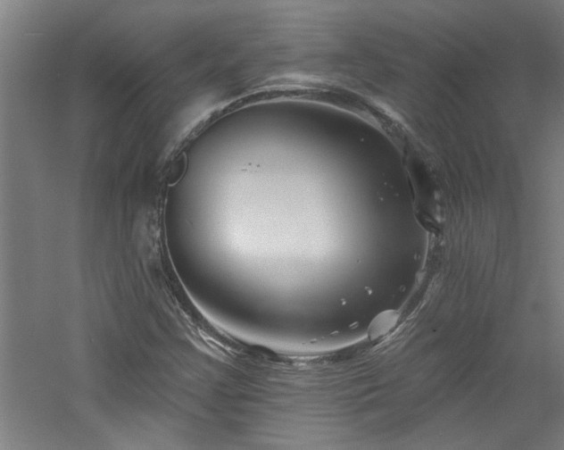 X0000060791355200511101407