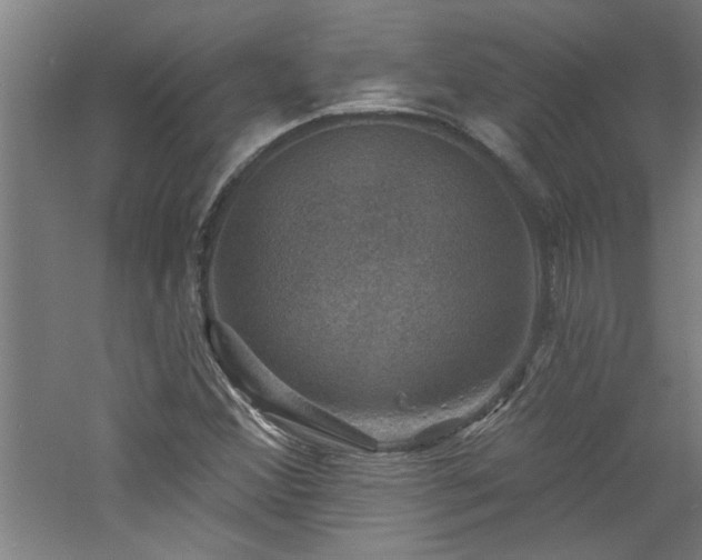 X0000060791356200511101407