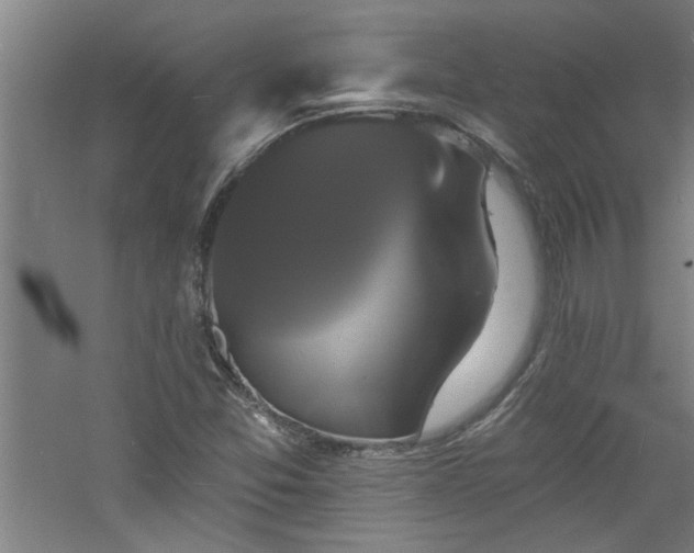 X0000060791357200511101407