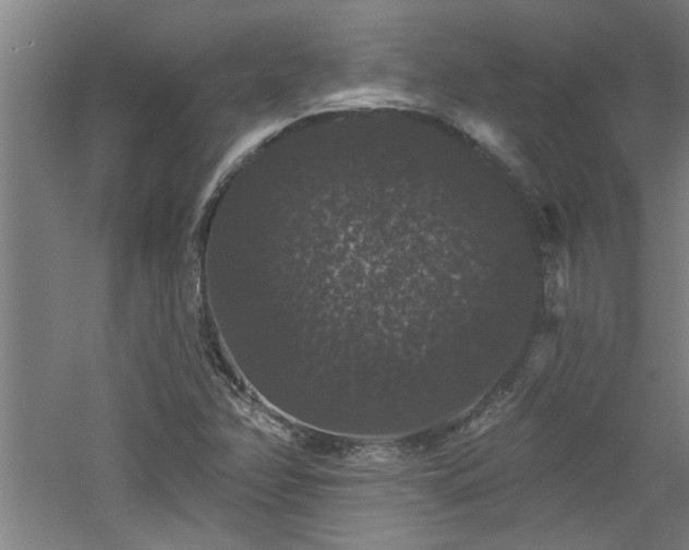 X0000060791358200511101407