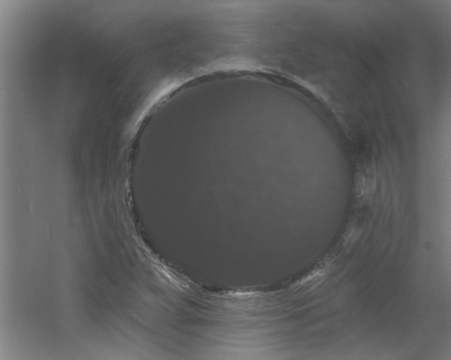 X0000060791359200511101407