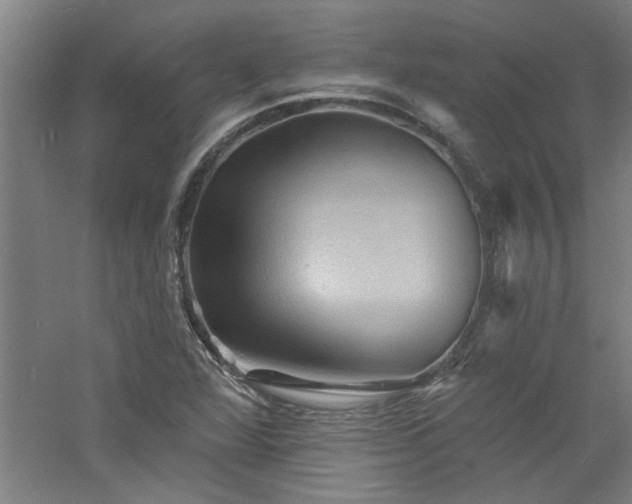 X0000060791360200511101407