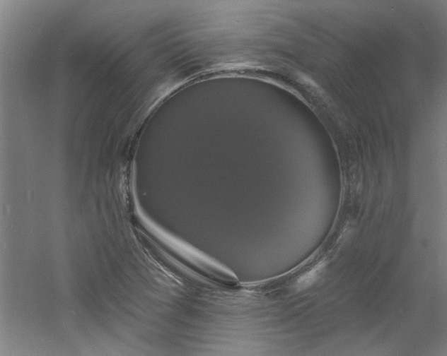 X0000060791361200511101407